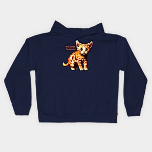 A scared cat Kids Hoodie